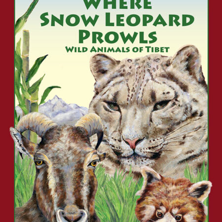 Where Snow Leopard Prowls