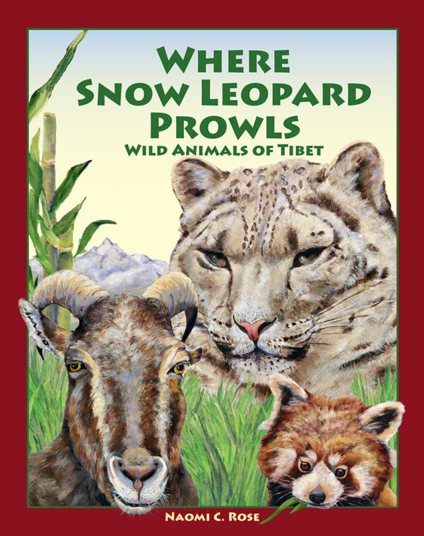 Where Snow Leopard Prowls